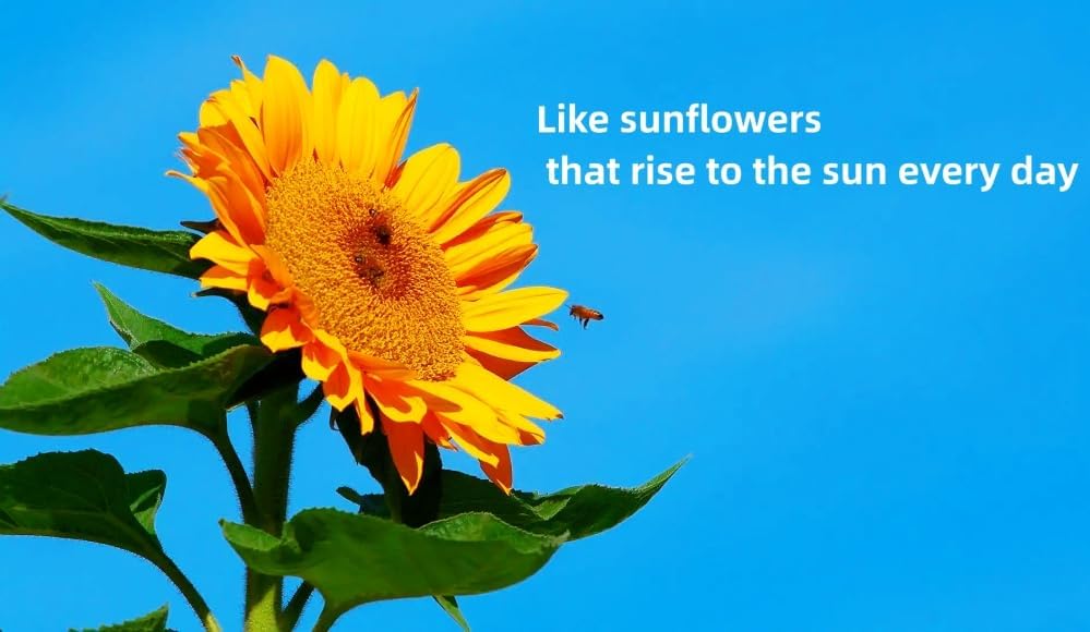 Miniatura 4 de OBUY Large Plant Stencil (8-15 Inches) - Reusable Sunflower Palm Tropical Leaf Stencils for Painting on Wood, Canvas, Paper, Fabric, Wall, Furniture