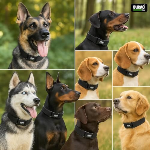 Image of Buraq Tactical Dog Collar, Adjustable Military-Grade Nylon with Handle & Heavy Metal Buckle, Dog Belt for Medium & Large Dogs (Parent) (Black, L)
