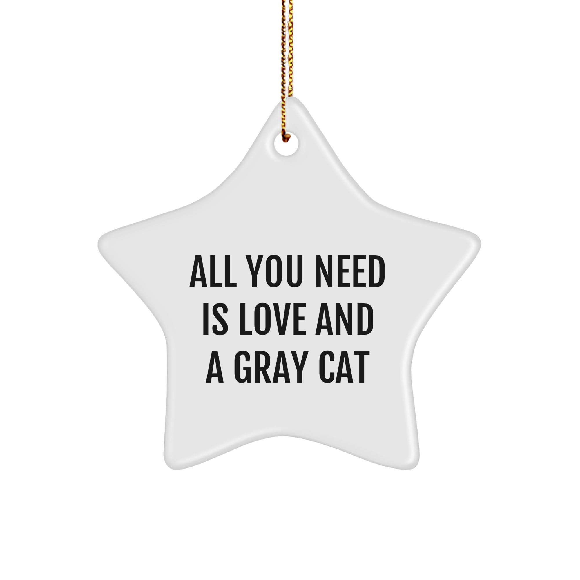 Love and Gray Cat Brilliance Star Ornament Gifts for Women Friends Coworkers Family from Gray Cat Lovers