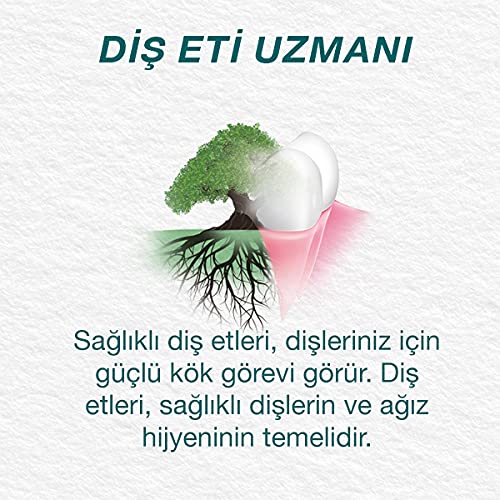 Himalaya Since 1930 Nane Ferahlığı Bitkisel Diş Macunu, Florürsüz, Parabensiz, Vejeteryan, Ferah Nefes, 75 ml (3 paketi)