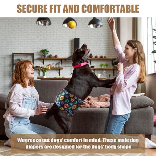 Image of Wegreeco Washable Male Dog Diapers (Pack of 3) - Washable Male Dog Belly Wrap (Colorful Footprints, X-Small)