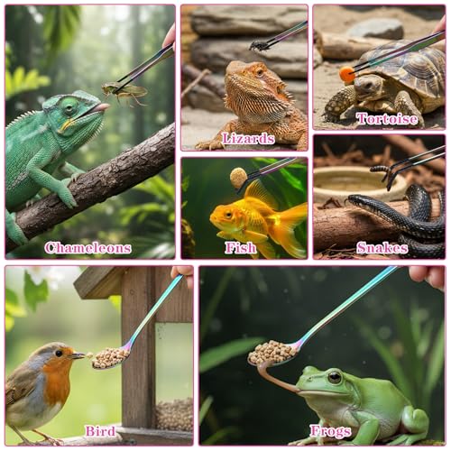 LXUEJIE 3 Stück Edelstahl Aquarium Pinzette Fütterlöffel, 27 cm Edelstahl Futterzange für Reptilien Futterpinzette mit Gummikopf Lange Aquarium-Pinzette für Eidechsen Wasserpflanze Pflanzenpinzette