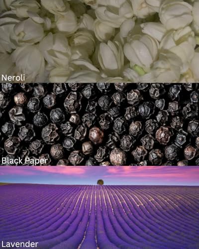 Image of TOXICMALE Sauvage + L?homme | Perfect Long lasting Men's perfume for Office | perfumes for men | Gift for him | TMA17 | 50 ml perfume | TM Perfume House