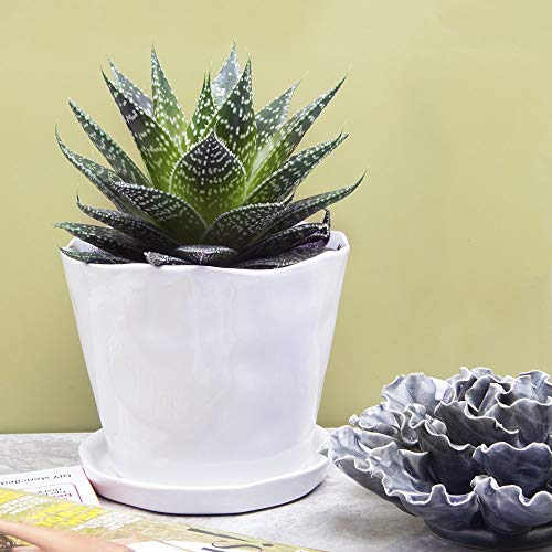 Chive ‘Tika’ Big Succulent Pot — 5” Cute Planter Pots For Indoor Plants — Beautiful Modern Decor For Home & Kitchen — White #TOP3