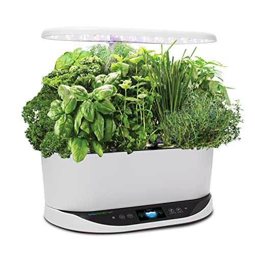 Image of AeroGarden Bounty, White