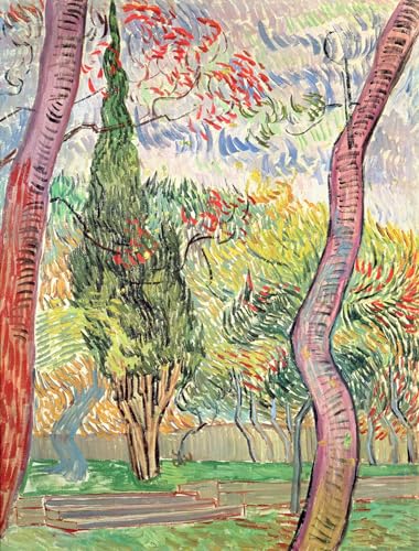 Póster de lienzo de Van Gogh Il Giardino Ospedale St Paul para decoración del hogar 60x90cm