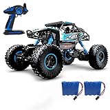 DoitY Electric RC Car, 1:16 4WD 2.4Ghz High Speed Off Road Remote Control Car/ Vehicle/ Truck/ Crawler Climber, Two Rechargeable Batteries Included, Adults and Kids