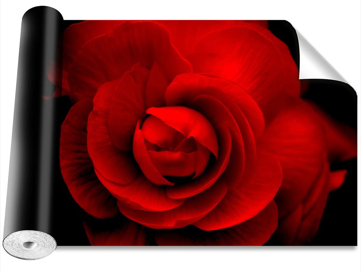 Papier peint auto-adhésif Tulup pour rénover un mur abîmé sans colle rose rouge