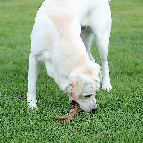 Tikaton Dog Chew Toys For Aggressive Chewers Large Breed, Tough Dog Toys Dog Teething Toys For Large/Medium/Small Puppies #TOP1