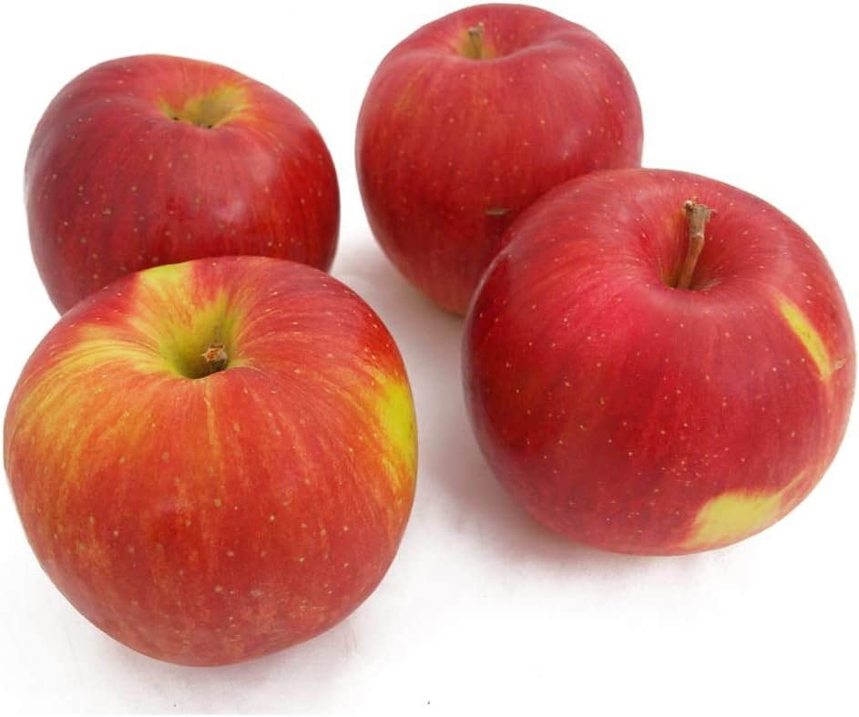りんご シナノスイート 低農薬栽培 3kg前後