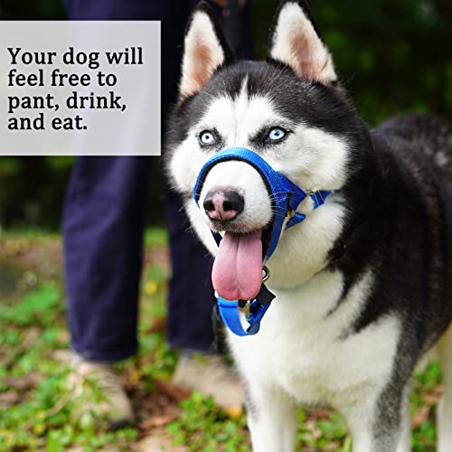 No-Pull Head Collar For Dogs Training & Walking Made Easy, Soft Dog Halter Harness With Expert Training Guide - Put An End To Pulling On The Leash #TOP5