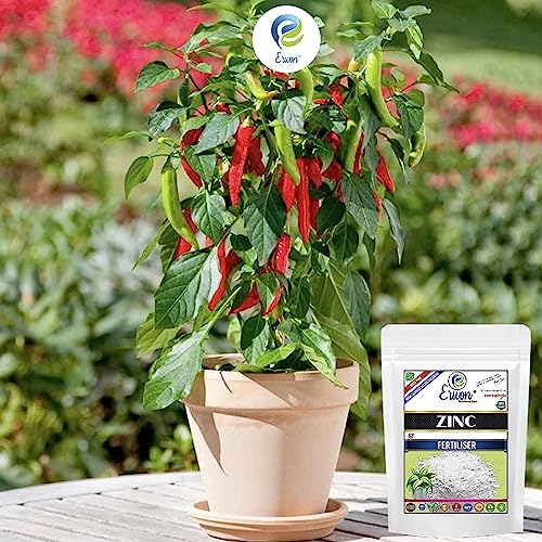Image of Erwon Zinc Fertilizer, 100% pure, Premium Powerful Fertilizer for Overall Growth of Plants (400 gm)