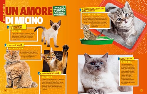 A Ciascuno Il Suo Gatto! - 9