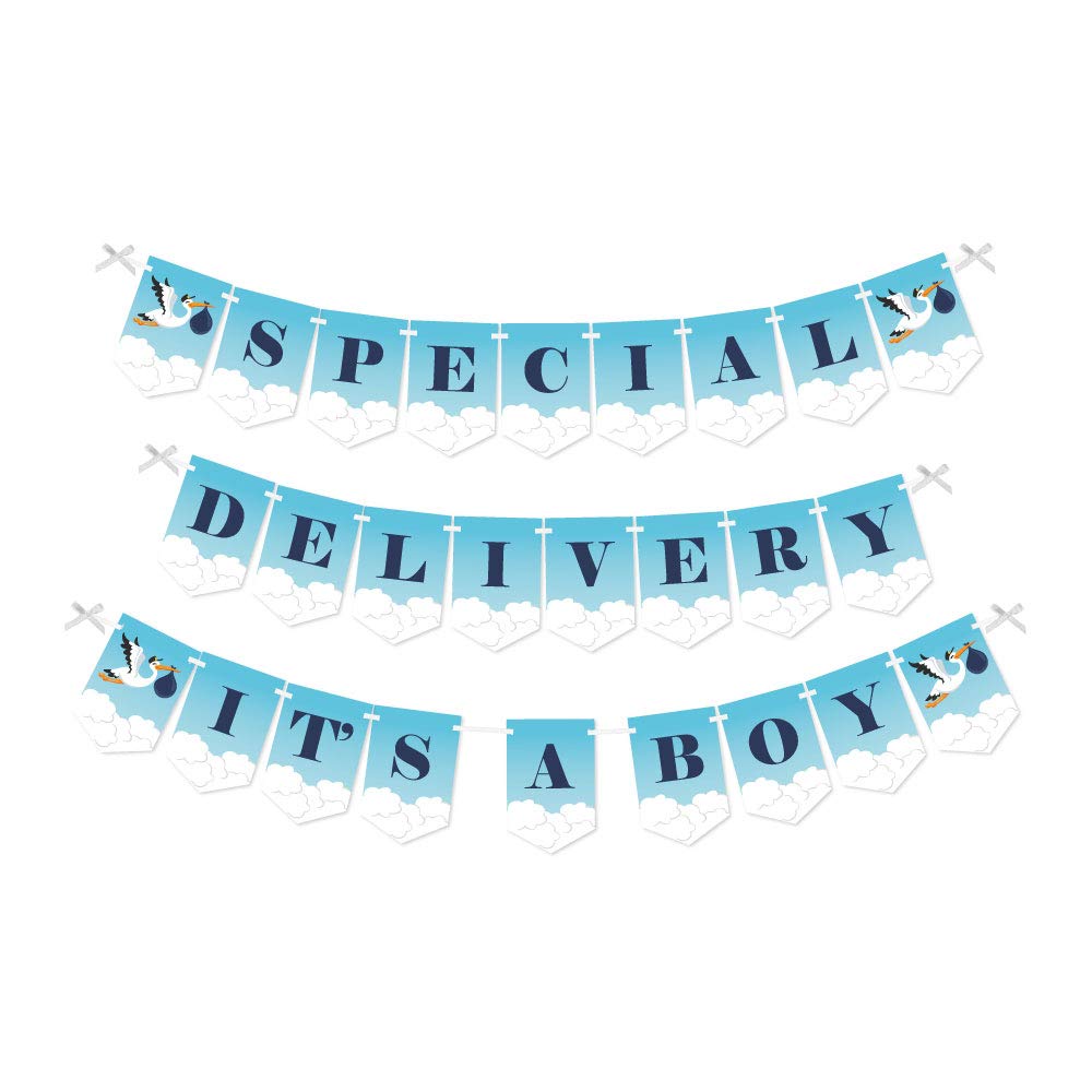 Big Dot of HappinessBoy Special Delivery - Blue It's A Boy Stork Baby Shower Bunting Banner - Party Decorations - Special Delivery It's A Boy