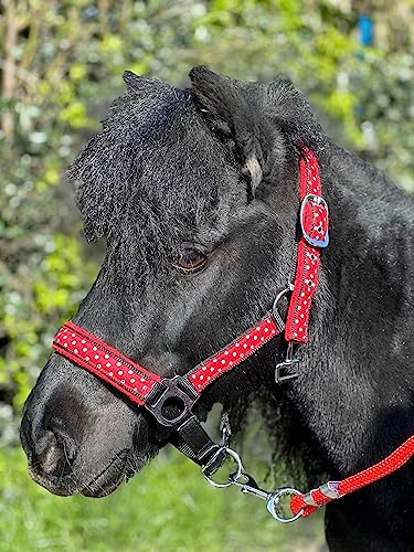POLKA DOT HEADCOLLAR WITH LEAD ROPE FULL-MINI SHETLAND (Red, Full)