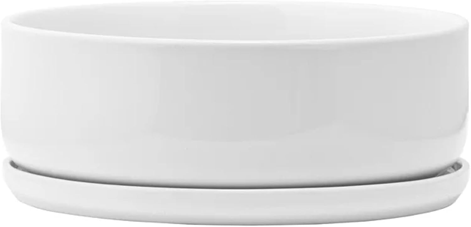 Napco Modern and Minimal Circular Design 7.25 x 7.25 x 2.25 inches White Ceramic Flower Succulent Plant Pot Planter Container Holder with Saucer Tray, Indoor Outdoor Garden Décor