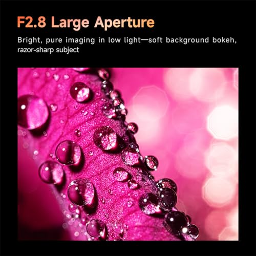 Image of Brightin Star 60mm F2.8 2X Macro Lens for Canon EF-M Mount Mirrorless Cameras, APS-C Manual Focus MF Prime Large Aperture Lens, Fit for M, M2, M3, M5, M6, M10, M100, M50, M200