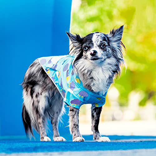 Canada Pooch Clouds Wet Reveal Dog Torrential Tracker, X-Large/Xx-Large #TOP5
