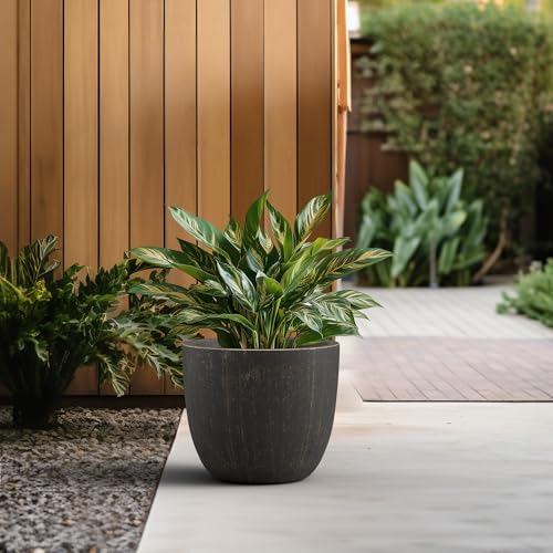 Image of Kante Accent Round Bowl Vintage BRN Concrete Planter 14 inch Dia, Outdoor