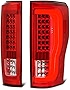VIPMOTOZ For 2017-2019 Ford F-250 F-350 F-450 Pickup Truck Incandescent Model Black Bezel Neon Tube Full-LED Tail Brake Light Housing Lamp Assembly Driver and Passenger Side Replacement