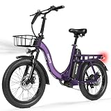 ESKUTE D200