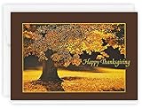 The Gallery Collection, 25 Count Card Pack, Thanksgiving Cards with Foil Lined Envelopes (Thanksgiving Glow), For Business or Consumer