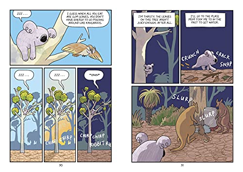 Surviving the Wild: Rainbow the Koala: 2