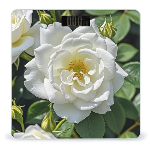 Báscula digital White Rose para peso corporal con vidrio templado miniatura 1