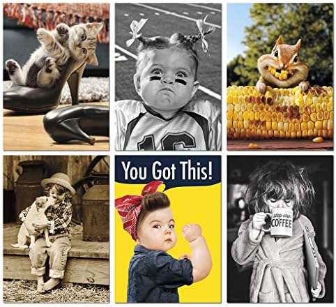 Avanti Press Encouragement and Friendship Greeting Card Variety Pack, 6-Count, Model Number: 32090