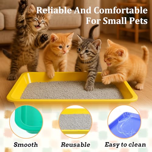 Set 4 cajas arenero pequeñas abiertas para gatos miniatura 5