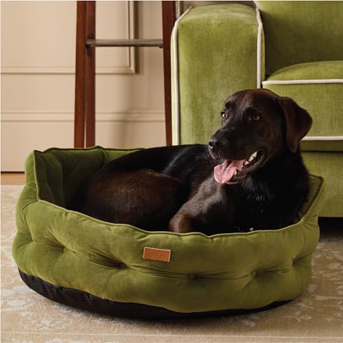 Rosewood x Joules Khaki Chesterfield Pet Bed, Large – Luxury Velvet Dog Bed with Non-Slip Base, Extra Padding & Supportive Cushion – Stylish Sofa-Inspired Design, Comfortable Resting Spot