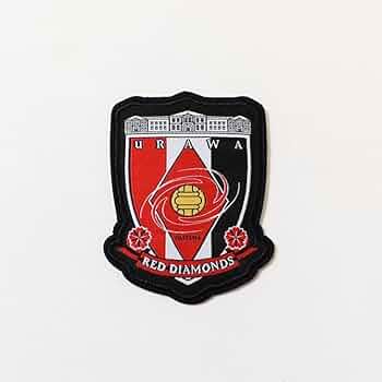 5149dduqZNL._UF350,350_QL50_.jpg