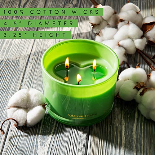 96North Luxury Eucalyptus & Sage Soy Candle | Large 3 Wick Jar Candle | Up To 50 Hours Burning Time | 100% Natural Soy Wax | Relaxing Aromatherapy Aesthetic Candles | Housewarming Gift Men And Women #TOP4