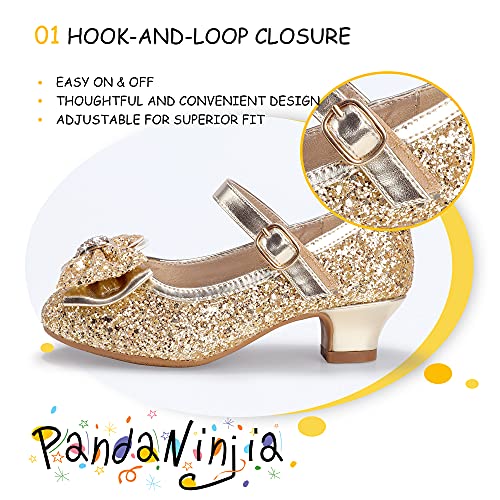 Image of PANDNAINJIA Girls Dress Shoes Toddler Heels Mary Jane Pumps