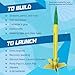 Estes 1753 AVG Bulk Variety Pack of Rocket-Building Kits, Beginner and Intermediate Flying-Rocket-Model Kits for Ages 10+, Includes Viking, Alpha, and EX2 Rockets