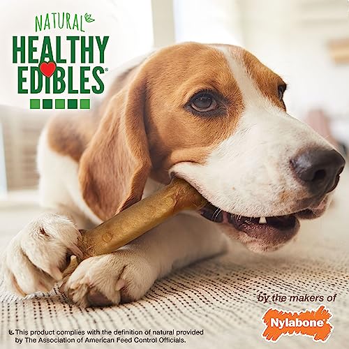 Nylabone Healthy Edibles Long-Lasting Dog Treats - Natural Dog Treats For Medium Dogs - Dog Products - Roast Beef Flavor, Medium/Wolf (2 Count) #TOP5