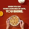 Honey Bunches of Oats Cinnamon Cereal, Breakfast Cereal with Oats and Granola Clusters, 12 oz Box