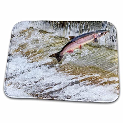 3dRose Salmon Jumping Fish Ladder Dish Drying Mat