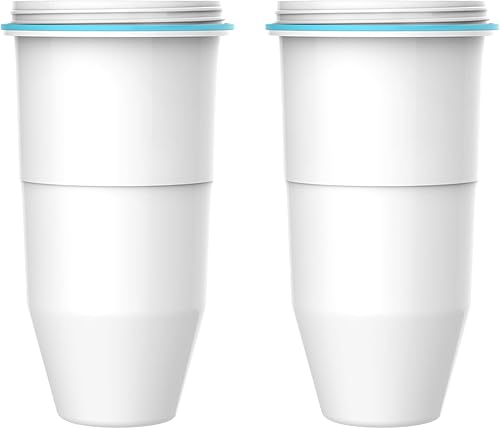 AQUA CREST Filtros de agua de repuesto de 6 etapas, repuesto para filtros de jarra ZR-017 y filtros dispensadores, reduce TDS, 98% de cloro, mal