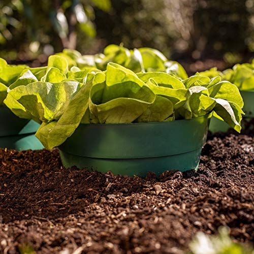 UPP ERD-Bewässerungsringe | Wasser sparen - durch gezielte Gartenbewässerung | Optimale Blumen-Bewässerung durch Pflanzringe | Kunststoff | Maße: ∅ 20 cm, H: 13 cm | Inhalt: 5 STK. | grün