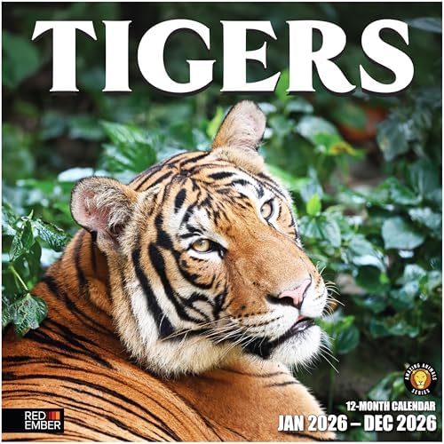 RED EMBER Tigers 2026 Wall Calendar 12 Month | 12" x 24" Open | Thick ...