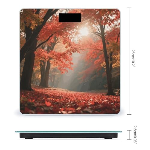Báscula de baño digital con pantalla LED y vidrio templado miniatura 2