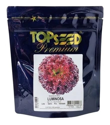 Semente De Alface Crespa Roxa Red Star Peletizada 2.000 Sem.