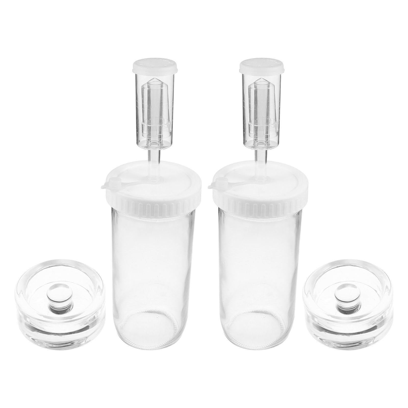 2 Pezzi Barattolo di Fermentazione in Vetro da 24 Oz con Chiusura