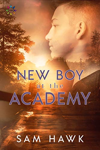 New Boy at the Academy (Tales from the Academy Book 1)