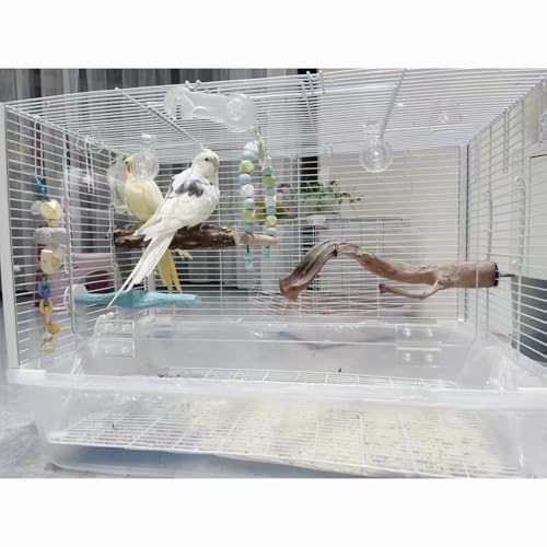 Jaula grande para loros con chasis elevado y visor transparente para ninfas 6
