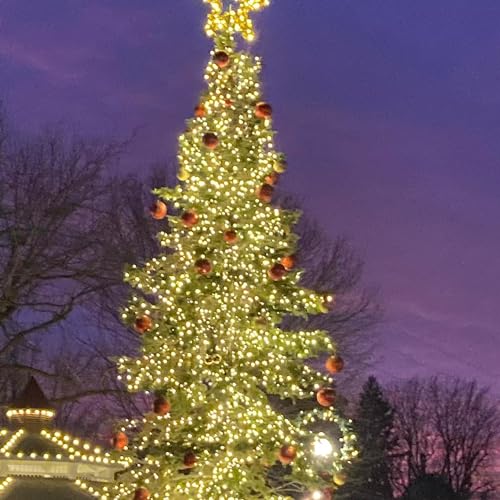 Plan Ahead for the Holidays