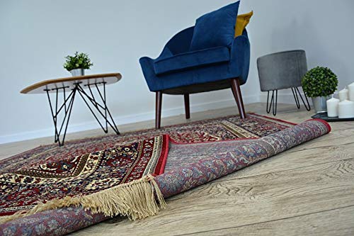 rugsx Traditioneller Teppich Windsor Orientteppich für Wohnzimmer, Schlafzimmer, mit Fransen, elegant, hohe Qualität… – Bild 4