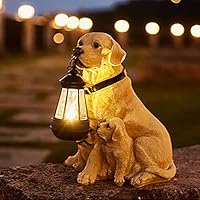 太陽と犬 514A3NTbhSL._SS200_.jpg