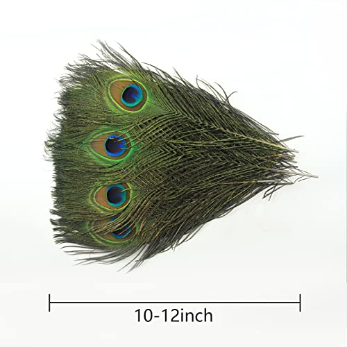 Tharaht 12Pcs Peacock Feather Natural In Bulk 10-12 Inch 25-30Cm For Craft Vase Wedding Home Party Christmas Day Decoration Peacock Feathers #TOP1